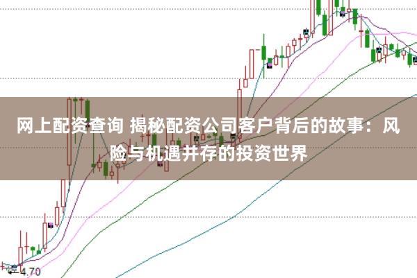 网上配资查询 揭秘配资公司客户背后的故事：风险与机遇并存的投资世界