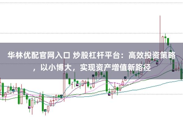 华林优配官网入口 炒股杠杆平台：高效投资策略，以小博大，实现资产增值新路径