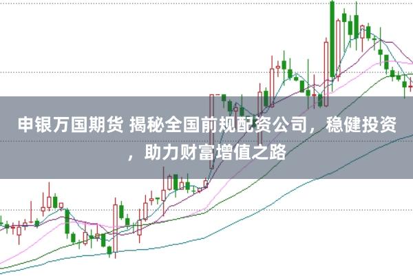 申银万国期货 揭秘全国前规配资公司，稳健投资，助力财富增值之路