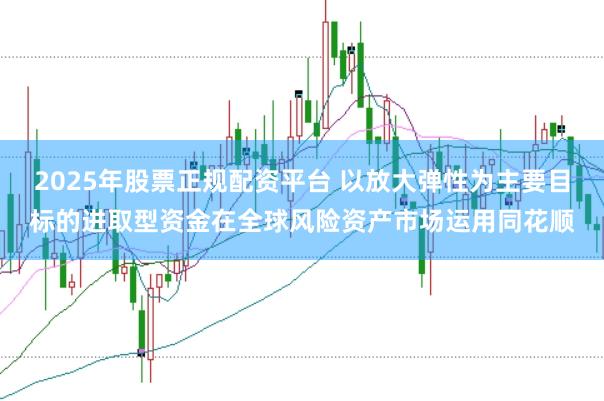 2025年股票正规配资平台 以放大弹性为主要目标的进取型资金在全球风险资产市场运用同花顺