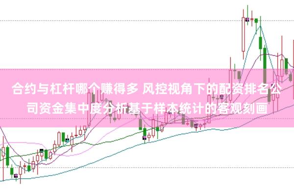 合约与杠杆哪个赚得多 风控视角下的配资排名公司资金集中度分析基于样本统计的客观刻画