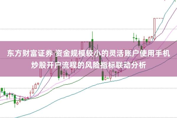 东方财富证券 资金规模较小的灵活账户使用手机炒股开户流程的风险指标联动分析